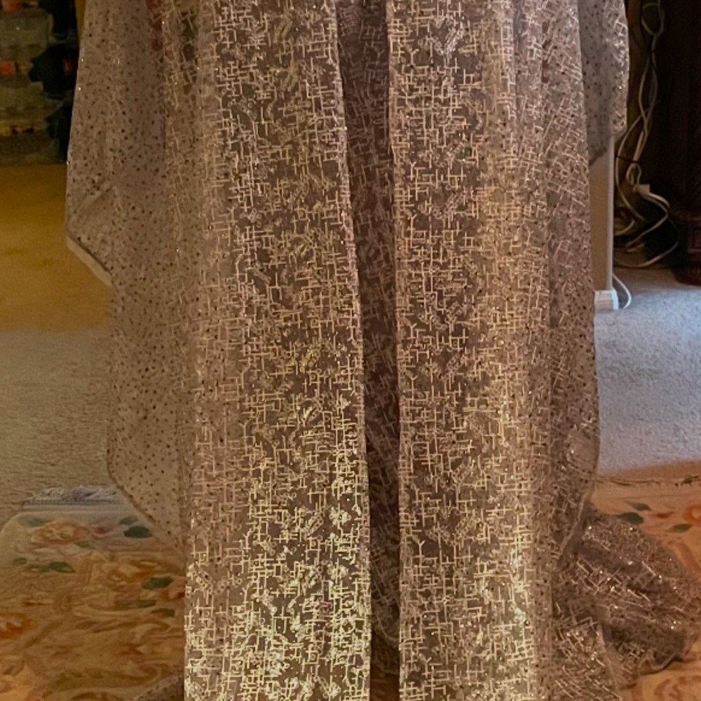 Elegant Silver Lace Dress with train - Picture 3 of 8